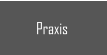 Praxis